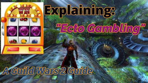 gw2 ecto gambling statistics|Ecto gambling .